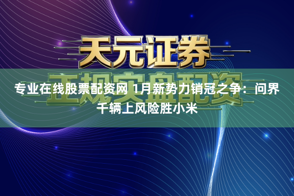 专业在线股票配资网 1月新势力销冠之争：问界千辆上风险胜小米