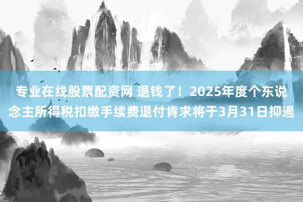 专业在线股票配资网 退钱了！2025年度个东说念主所得税扣缴手续费退付肯求将于3月31日抑遏