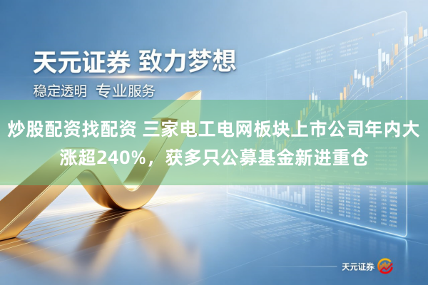 炒股配资找配资 三家电工电网板块上市公司年内大涨超240%,获多只公募基金新进重仓