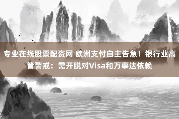 专业在线股票配资网 欧洲支付自主告急！银行业高管警戒：需开脱对Visa和万事达依赖