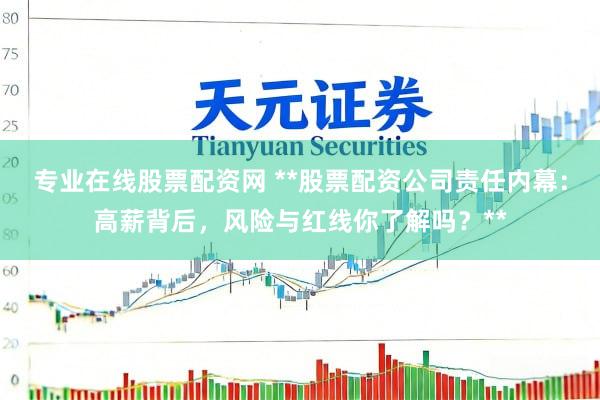 专业在线股票配资网 **股票配资公司责任内幕：高薪背后，风险与红线你了解吗？**