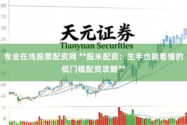 专业在线股票配资网 **股米配资：生手也能看懂的低门槛配资攻略**